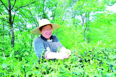 古韵新声 涌动中原&mdash;&mdash;解码河南文旅何以&ldquo;破圈&rdquo;