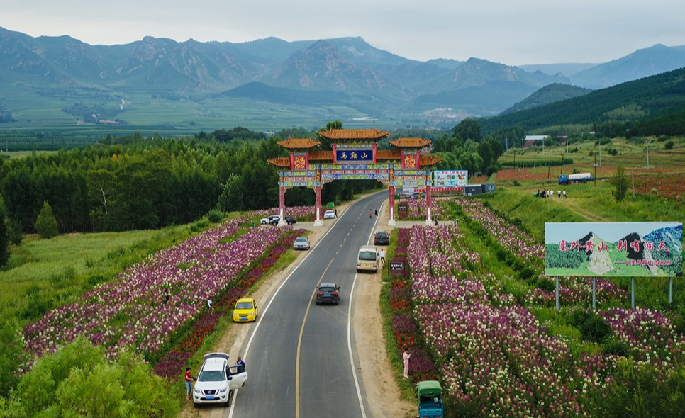 好马配金鞍　振兴自奋蹄