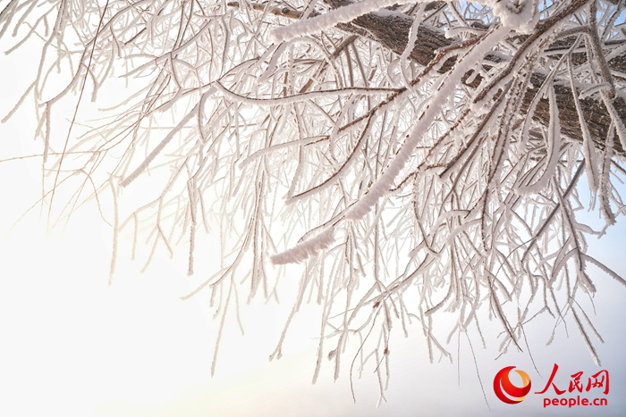 吉林雾凇景观。人民网记者 李洋摄