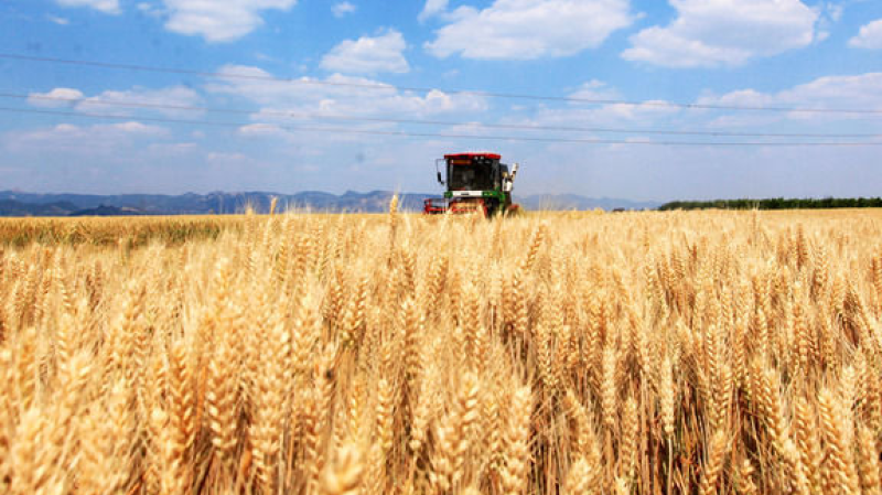 推动农业农村现代化再上新台阶——从中央一号文件看2026年“三农”工作路线图