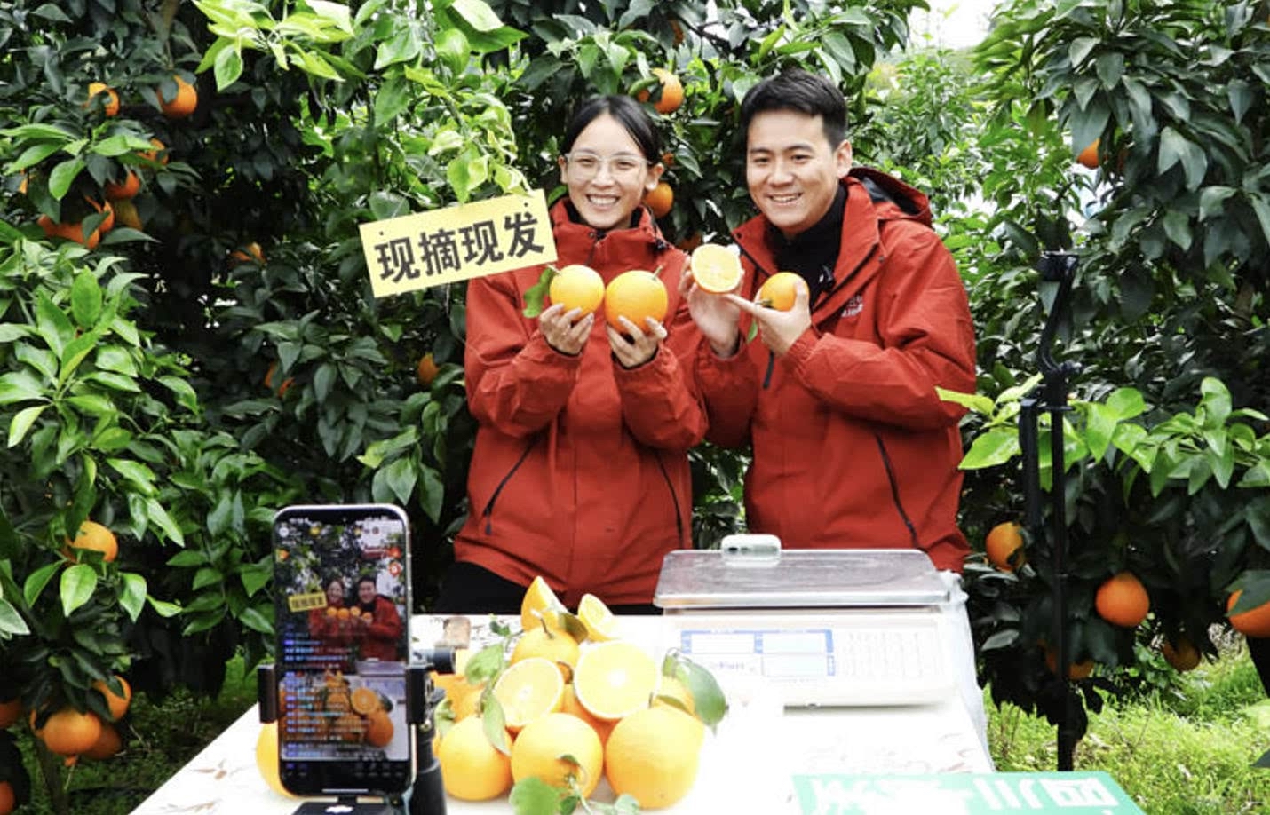 锚定农业农村现代化　扎实推进乡村全面振兴