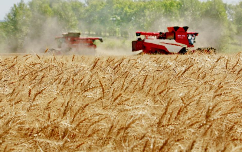 夯实基础全面发力，推进中国式现代化行稳致远——写在“十五五”规划纲要启动实施之际