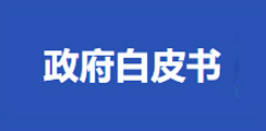 政府白皮书