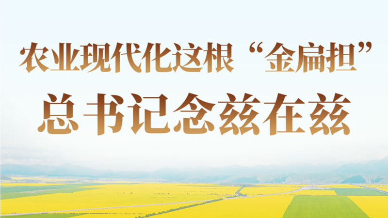 农业现代化这根“金扁担” 总书记念兹在兹